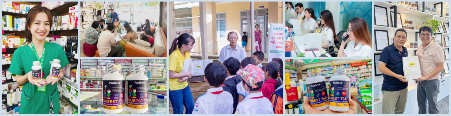 Lịch sử hình thành và phát triển