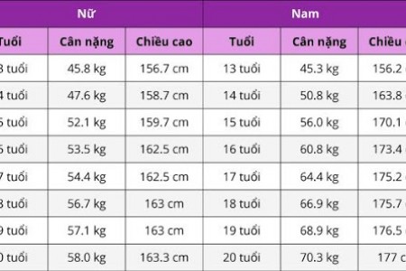 Xương phát triển đến năm bao nhiêu tuổi? Tìm hiểu thời gian và các yếu tố ảnh hưởng