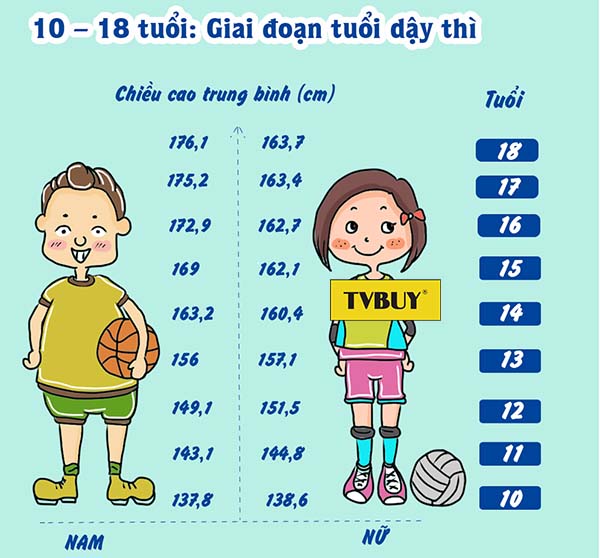 Bảng chiều cao cân nặng chuẩn của lứa tuổi dậy thì ở Việt Nam 10-18 tuổi
