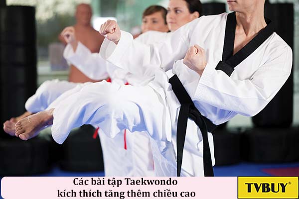 học taekwondo để phát triển chiều cao tốt nhất