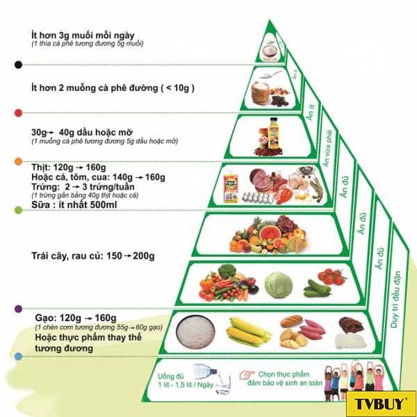 tháp cân đối dinh dưỡng